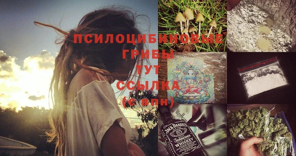 мдпв Новодвинск